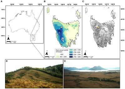 Lifting the veil: pyrogeographic manipulation and the leveraging of environmental change by people across the Vale of Belvoir, Tasmania, Australia